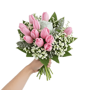 Blossom Harmony Display