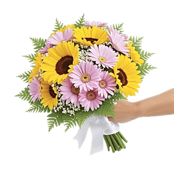 Twinkling Sunflower Dance