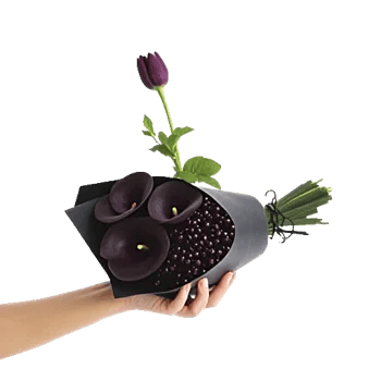 Elegant Calla Lilies