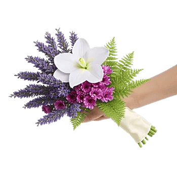 Serenity Orchid Bloom