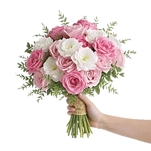 Pink Pastel Roses