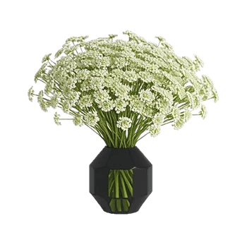 Modern White Orchids