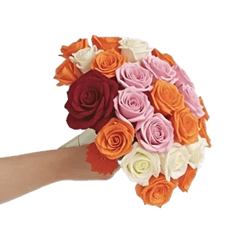 Crimson Rose Elegance