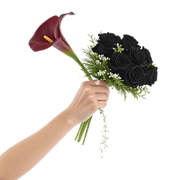 Elegant Calla Lilies