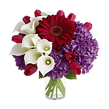 Crimson Blossom Harmony