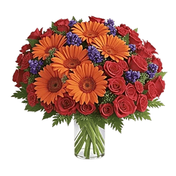 Petal Harmony Bliss