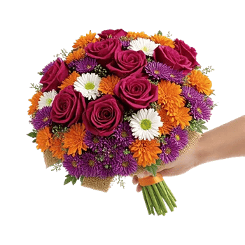 Blushing Rose Symphony