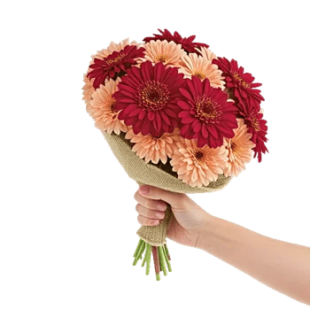 Crimson Rose Elegance