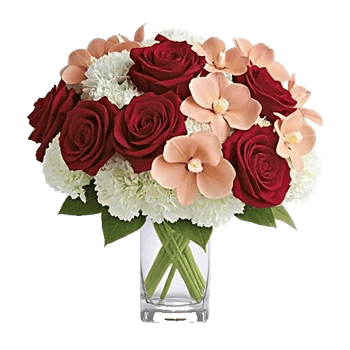 Crimson Blossom Harmony