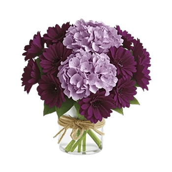 Lavender Bloom Grace