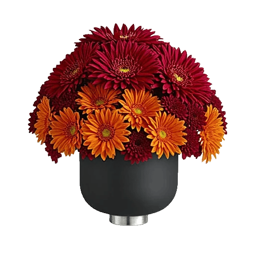 Crimson Lily Glow