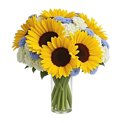 Radiant Bloom Cascade