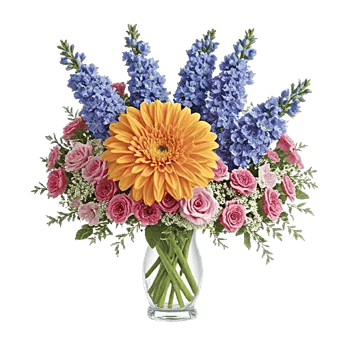 Blossom Petal Serenity