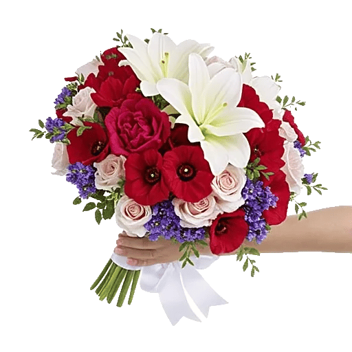 Blushing Rose Symphony