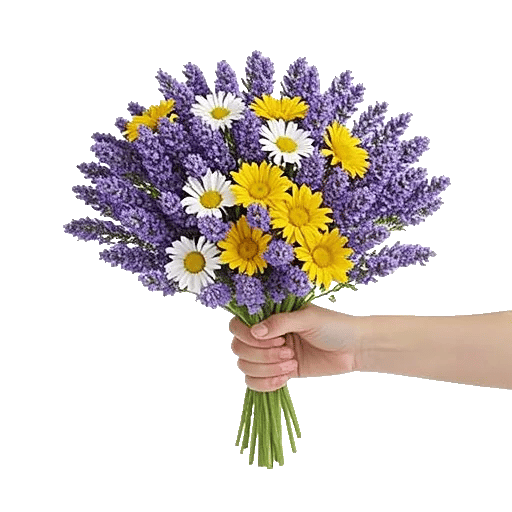Lavender Bloom Grace