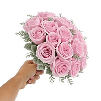 Pastel Pink Roses