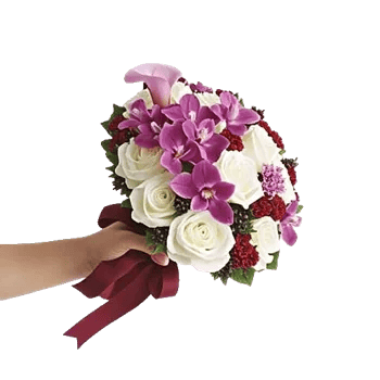 Elegant Calla Lilies