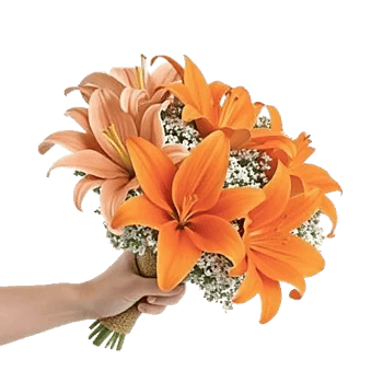 Blossom Glow Symphony