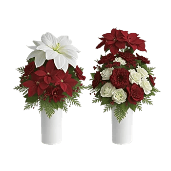 Ivory Blossom Radiance