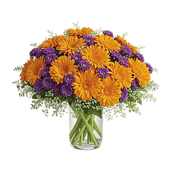 Petal Radiance Bliss