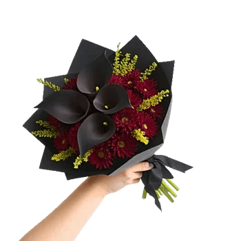 Elegant Calla Lilies