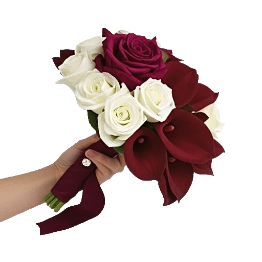 Blushing Rose Symphony