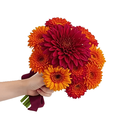 Crimson Blossom Harmony