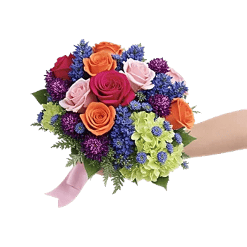 Pastel Pink Roses