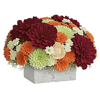 Petal Radiance Bliss