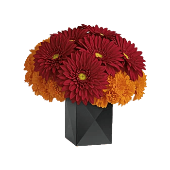 Crimson Blossom Harmony