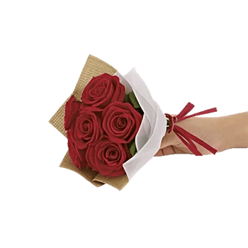 Crimson Rose Elegance