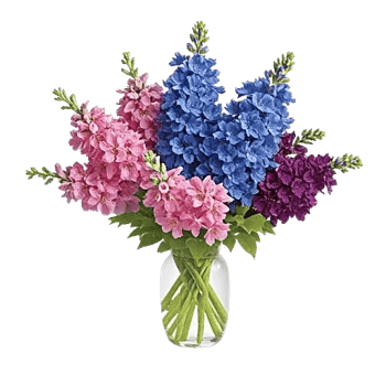 Lavender Bloom Grace