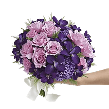 Petal Softness Display