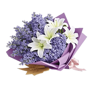 Lavender Bloom Grace