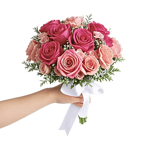 Pastel Pink Roses