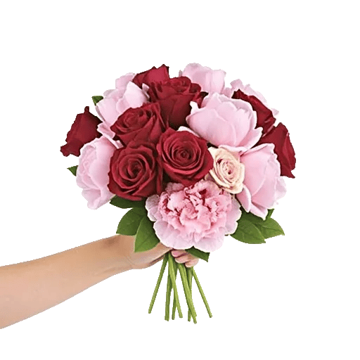 Crimson Rose Elegance