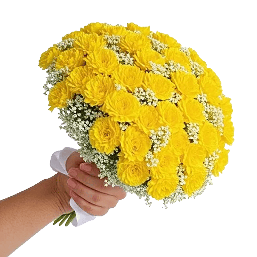 Petal Harmony Bliss