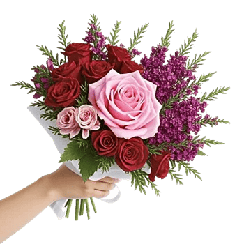 Blushing Rose Symphony
