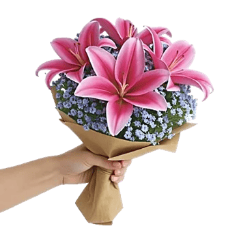 Blossom Petal Serenity