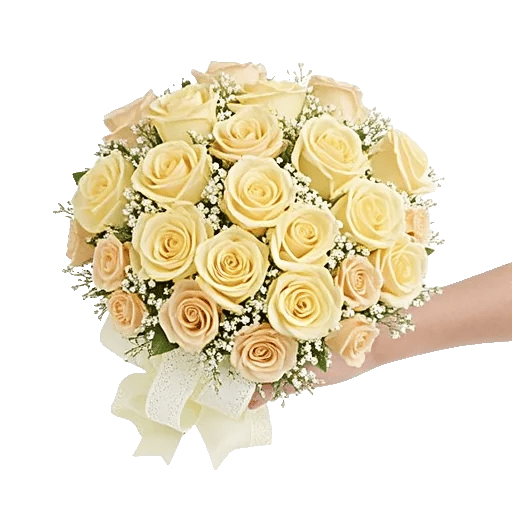 Blushing Rose Symphony