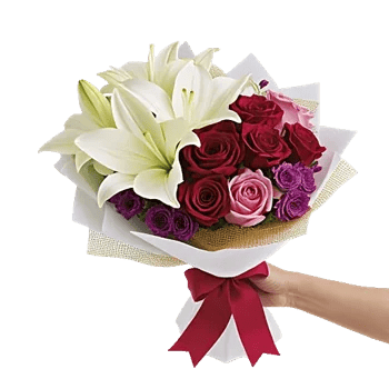 Blushing Rose Symphony