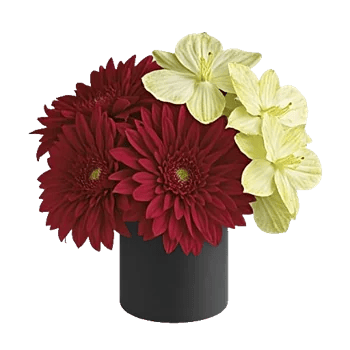 Crimson Blossom Harmony