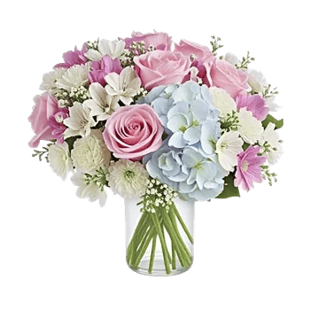 Pink Pastel Roses