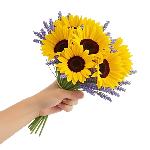 Twinkling Sunflower Dance