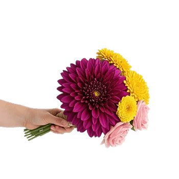 Radiant Bloom Cascade