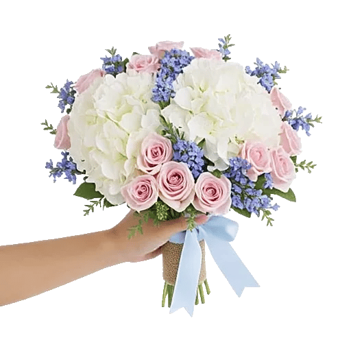 Pastel Blossom Grace