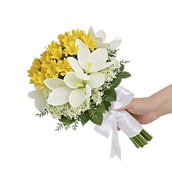 Blossom Harmony Display