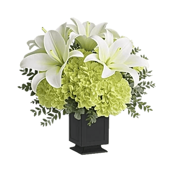 Ivory Blossom Radiance