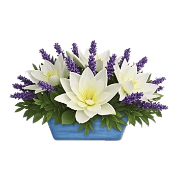 Blooming Serenity Display