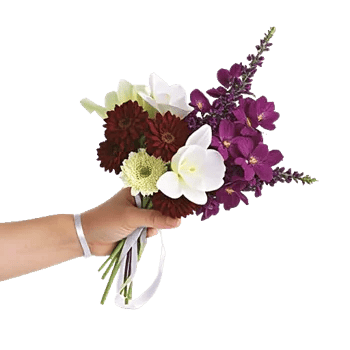Elegant Calla Lilies